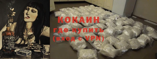 стаф Дмитровск
