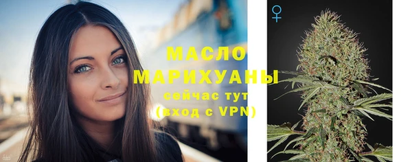 стаф Дмитровск