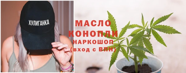 стаф Дмитровск
