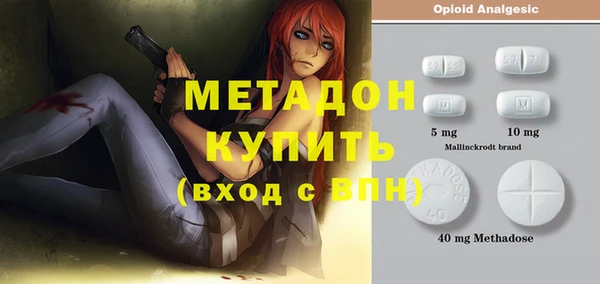 стаф Дмитровск