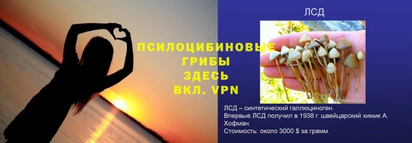 стаф Дмитровск