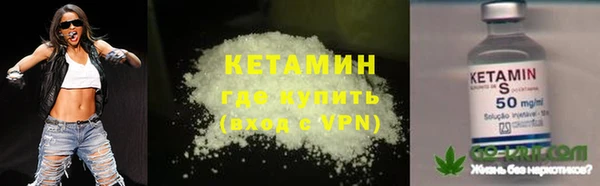 стаф Дмитровск