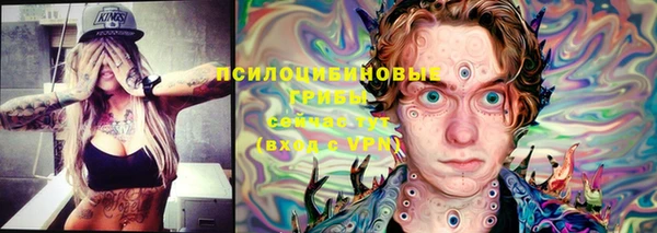 спиды Дмитров