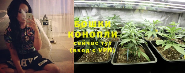стаф Дмитровск